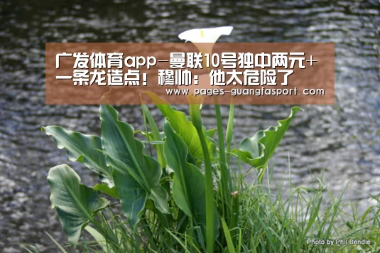 广发体育