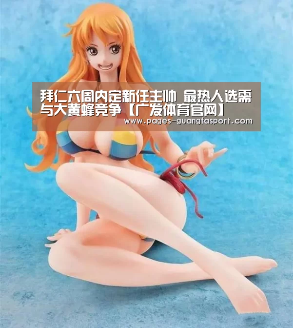 拜仁六周内定新任主帅 最热人选需与大黄蜂竞争【广发体育官网】(图2) 广发体育
