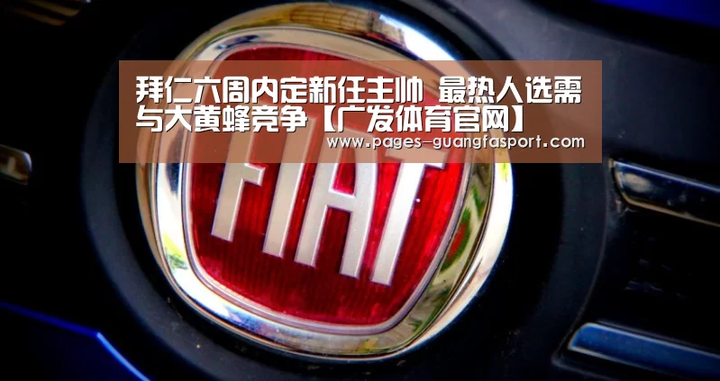 拜仁六周内定新任主帅 最热人选需与大黄蜂竞争【广发体育官网】