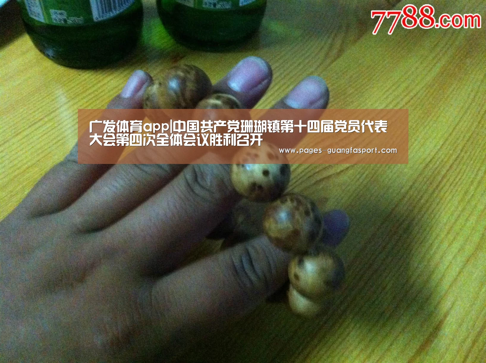 广发体育app|中国共产党珊瑚镇第十四届党员代表大会第四次全体会议胜利召开