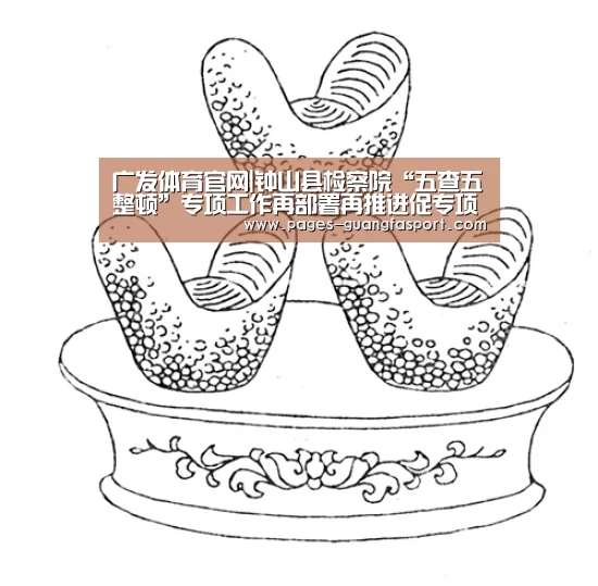 广发体育官网|钟山县检察院“五查五整顿”专项工作再部署再推进促专项行动显新成效