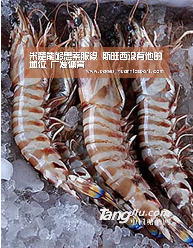 广发体育